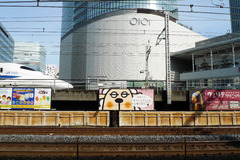 P1010593