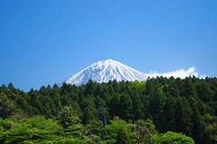 富士山