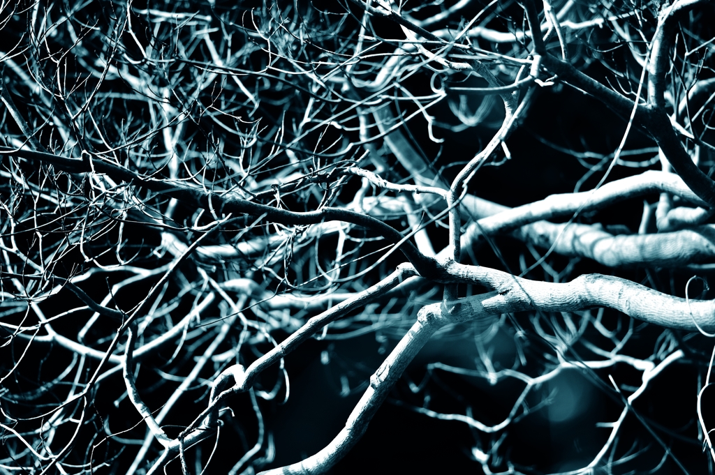 ++neuron++