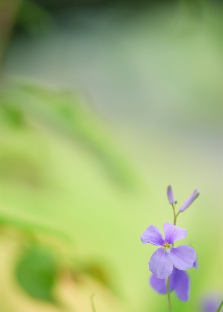 ++藍の色++