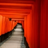 ++Magical place!++