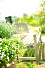 ++Happy Bench++