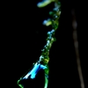 ++The water of life++