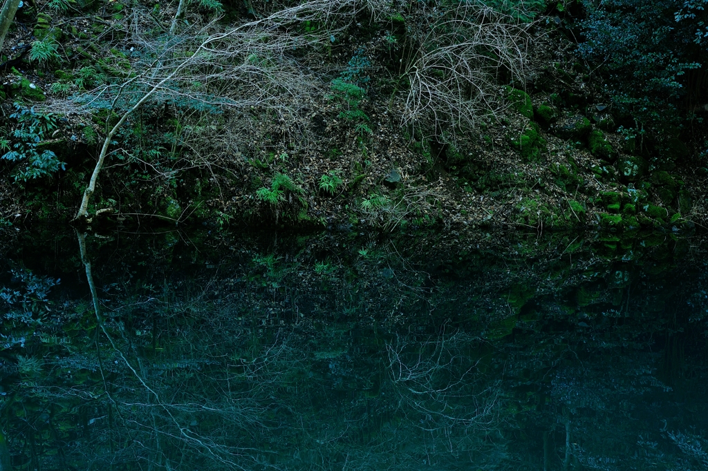 ++silent lake++