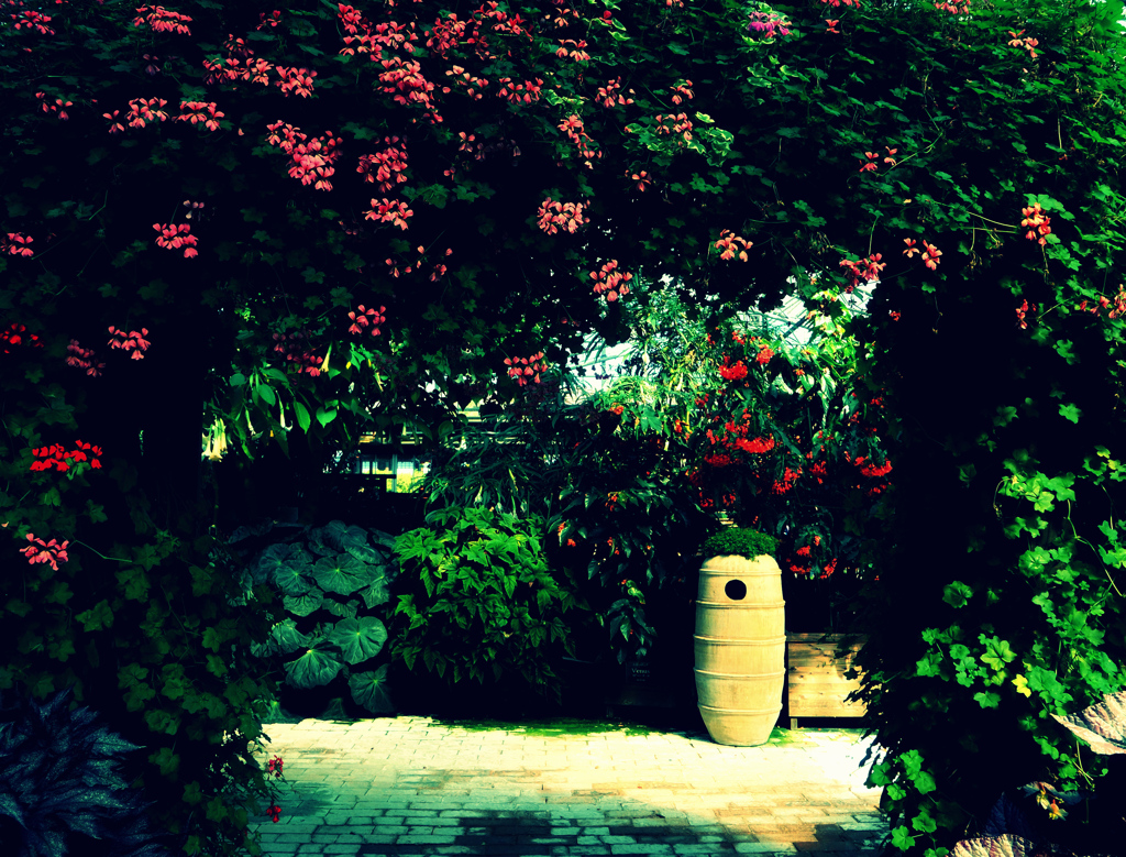 ++Secret Garden++