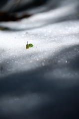 ++雨ニモマケズ風ニモマケズ雪ニモ夏ノ暑サニモマケヌ++