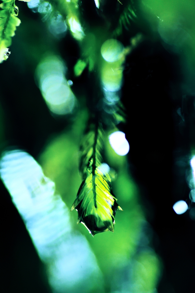 ++little earth++