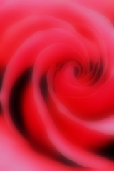 ++Helter Skelter++