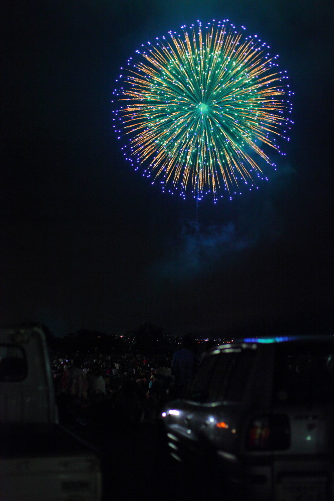 夜空に咲く