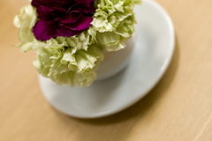 カーネーション