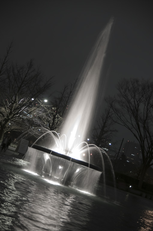 DSC_6455
