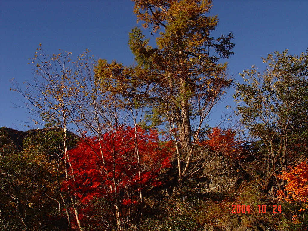 日光の紅葉DSC00025