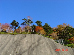 日光の紅葉DSC00035