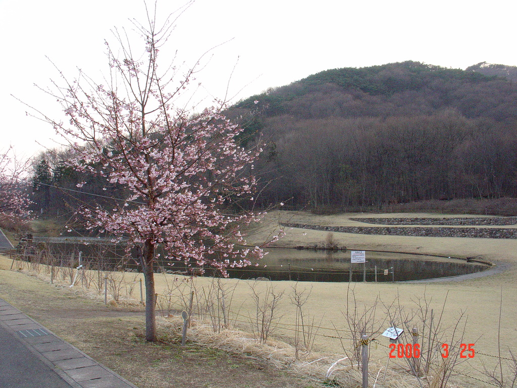 みかも山公園DSC00041