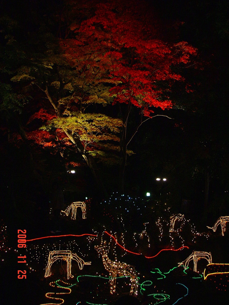 冬のフェスティバルDSC00220