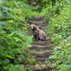 遭遇