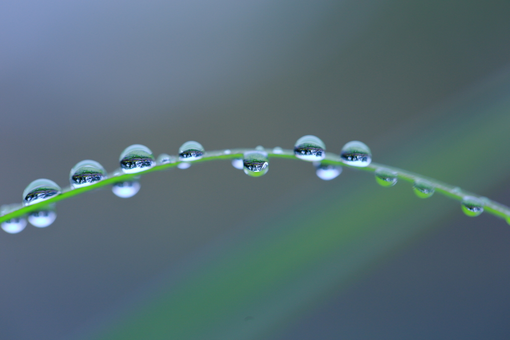 raindrop