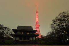 東京タワーと増上寺