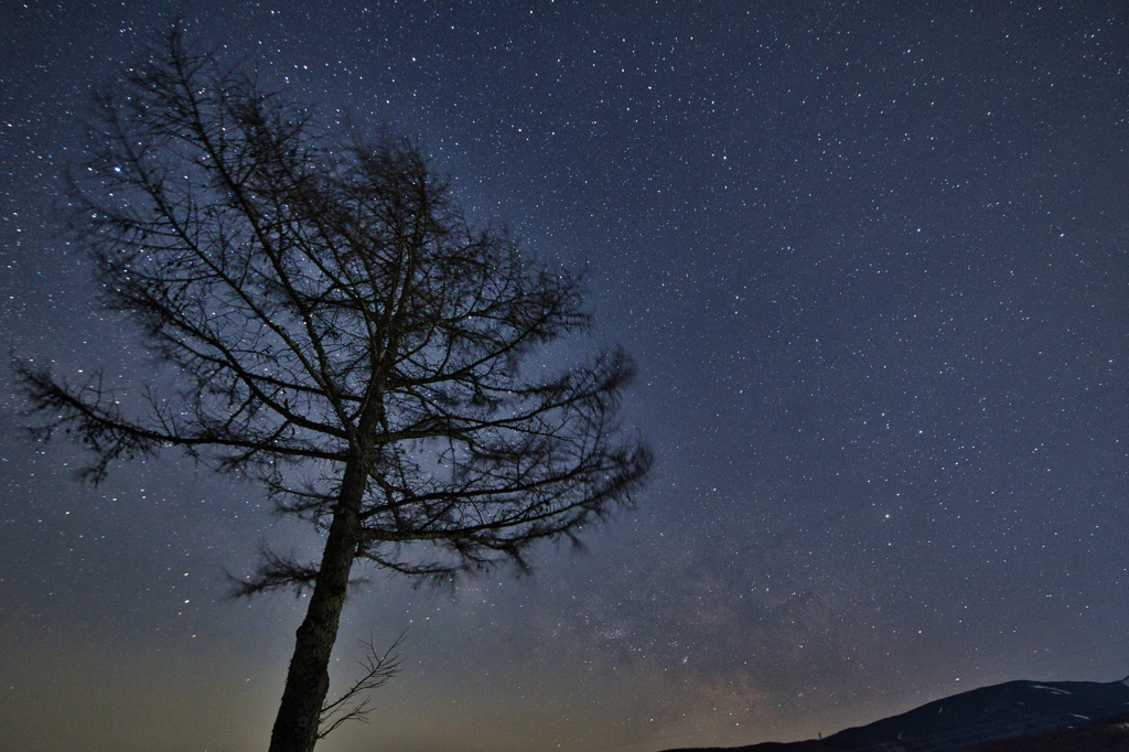 蓼科の星空