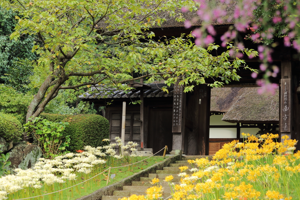 花と緑に囲まれて