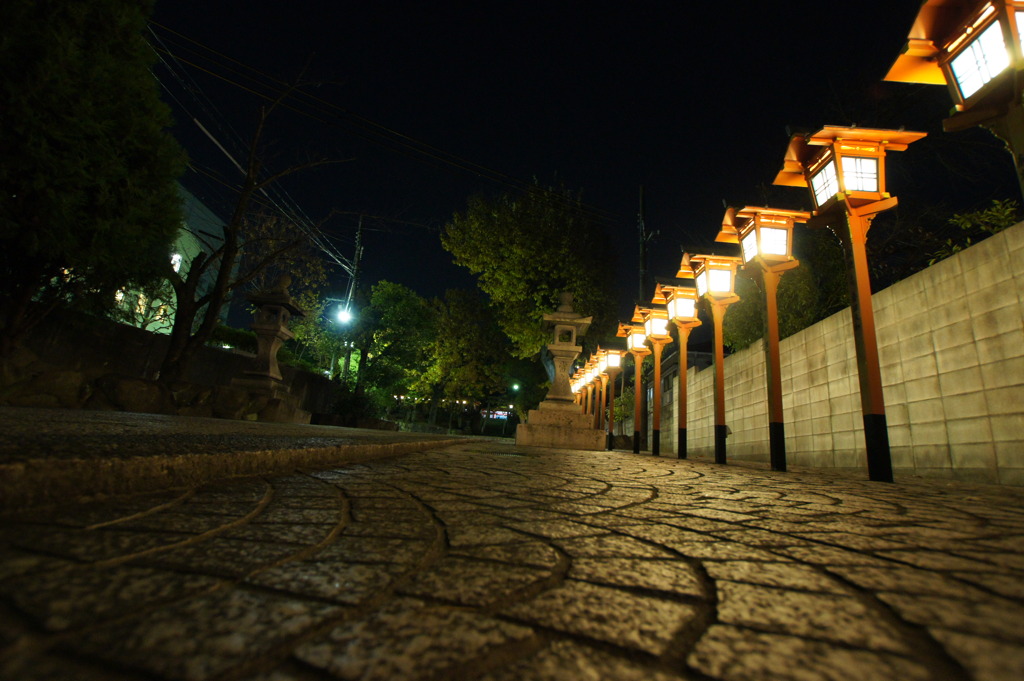 夜神の杜