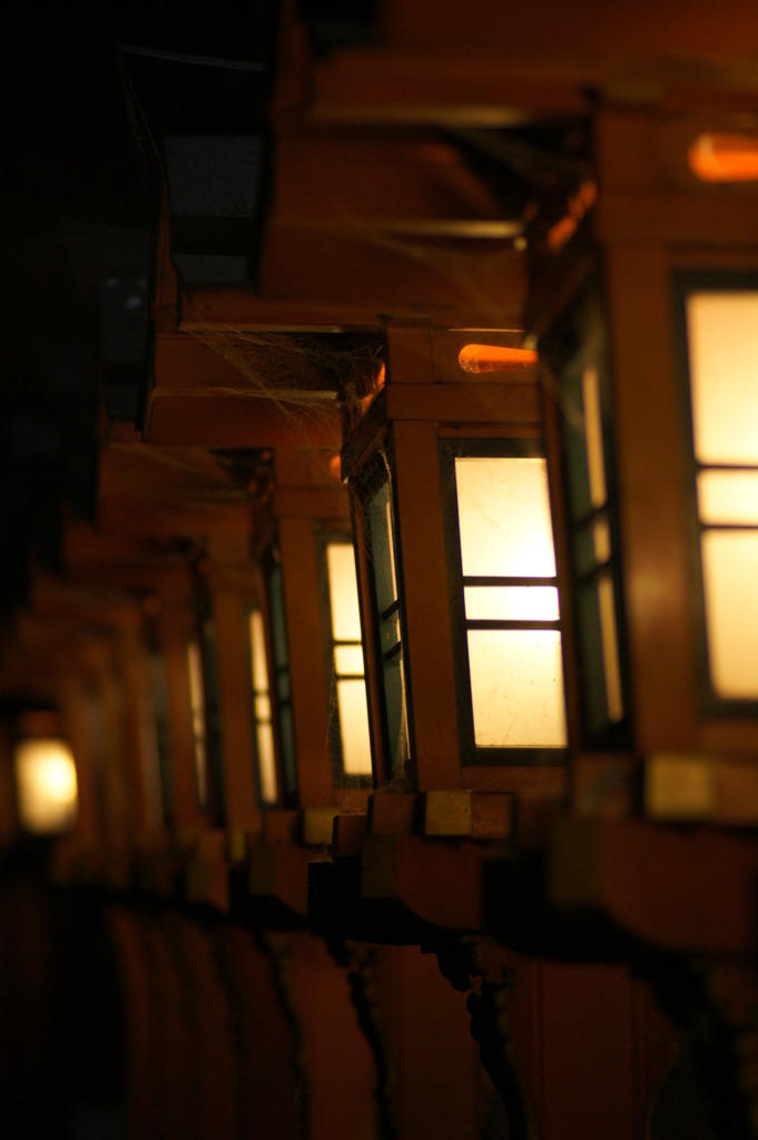 夜神の杜