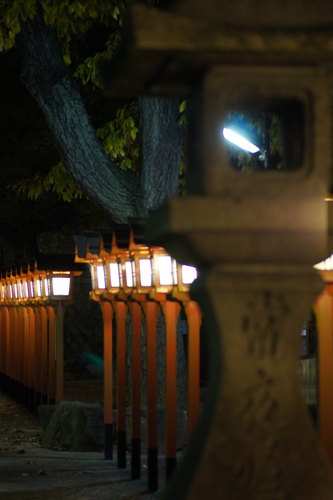 夜神の杜