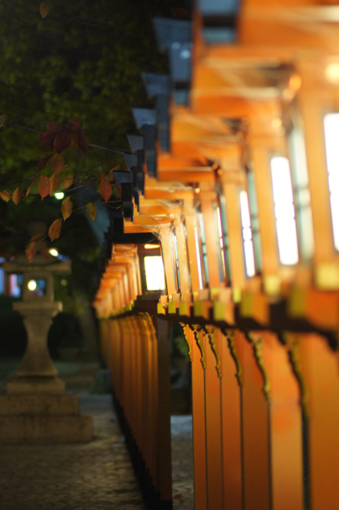 夜神の杜