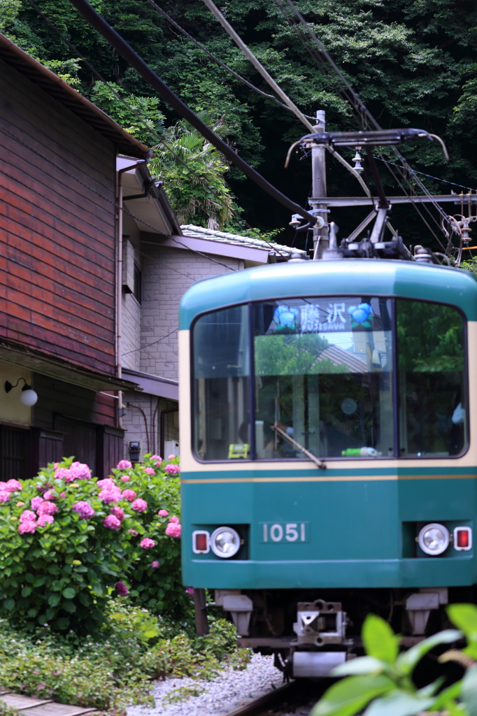 江ノ電あじさい号