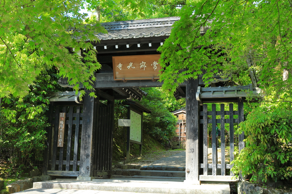 常寂光寺７