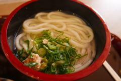 釜揚げうどん