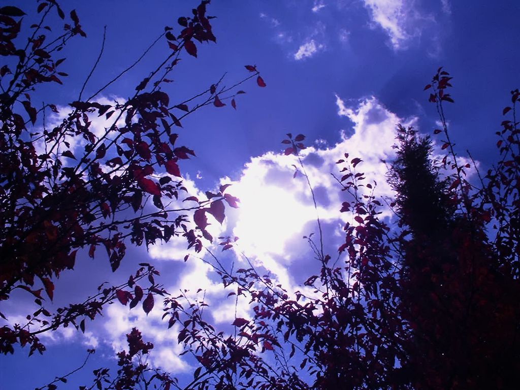 2001/11/16