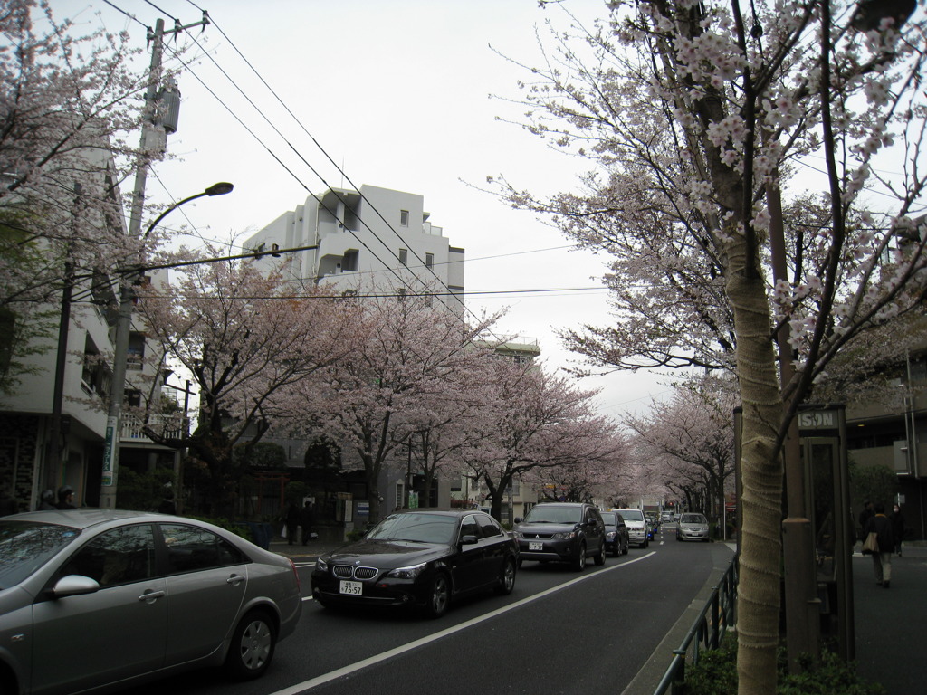 中野通り