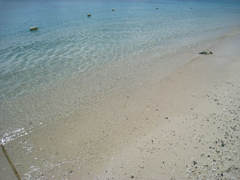 渡嘉敷島　阿波連ビーチ