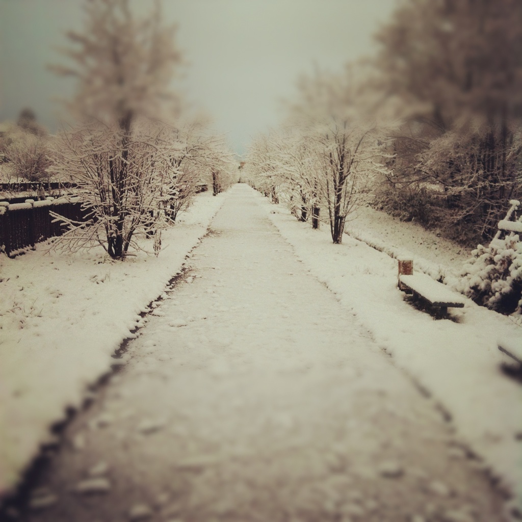 雪小道