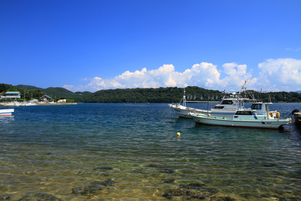 夏景色