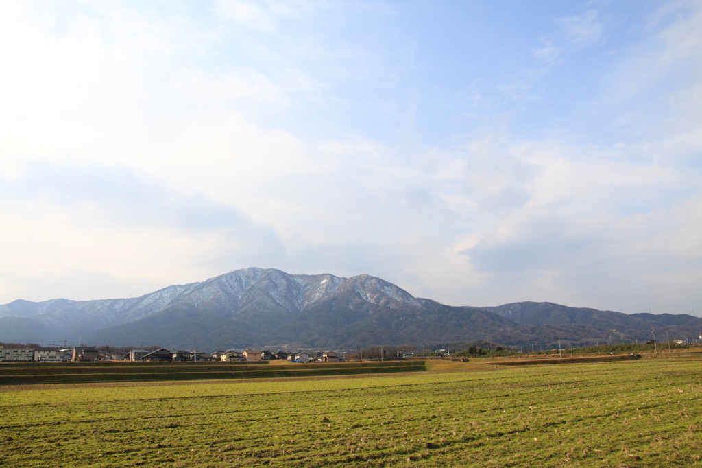 冬の光