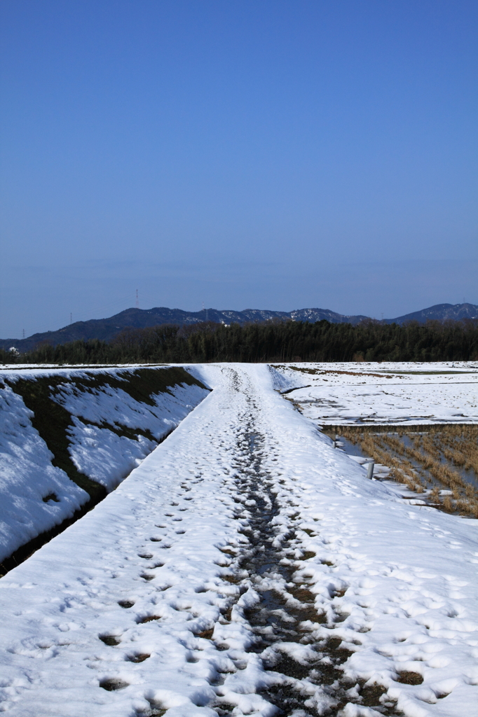 冬の道