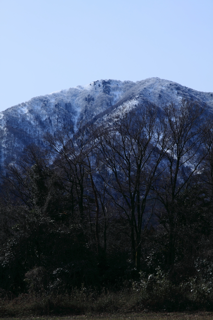 野坂山