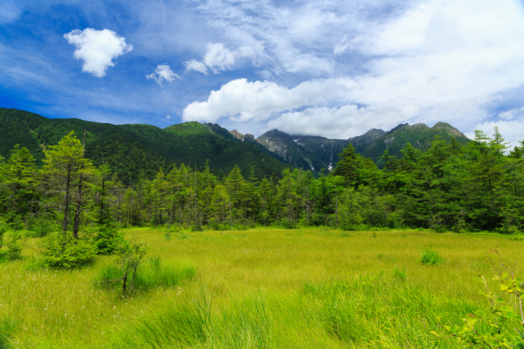 草原と山並み