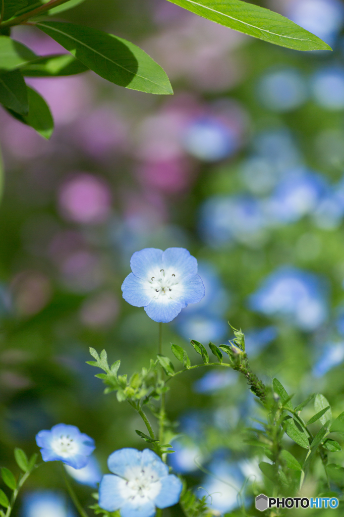 木陰で