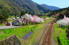 勝原園地