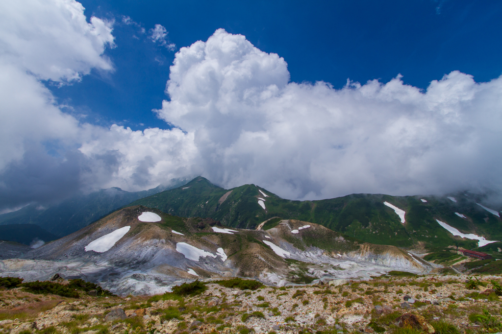 夏雲