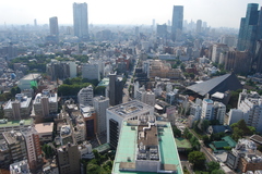 東京