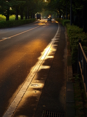 夕暮れのバス通り