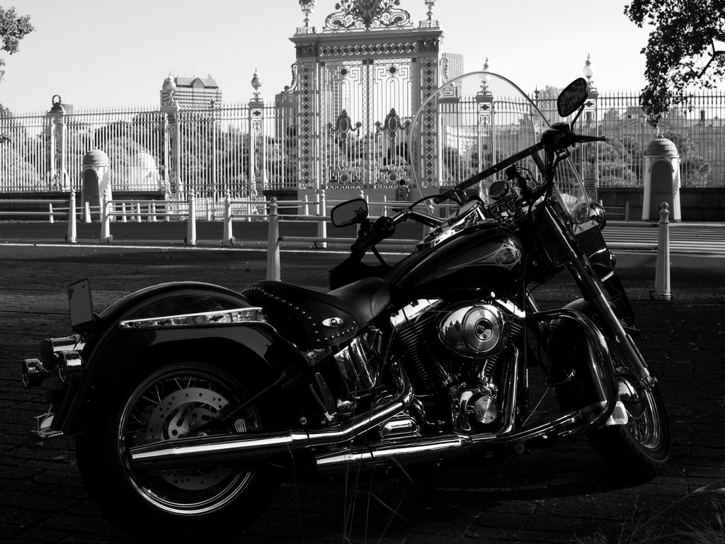 Harley‐Davidson