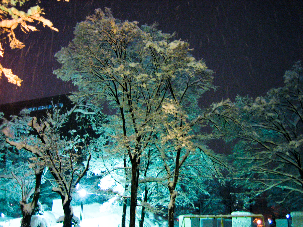 雪景色