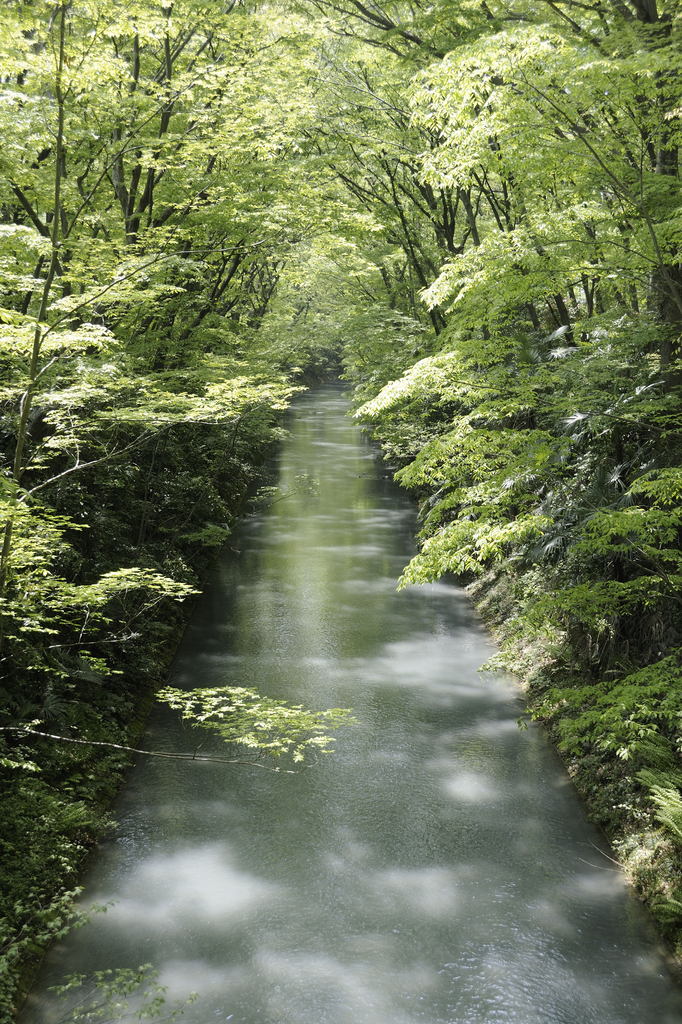 水の流れ
