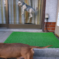 gr0511 021