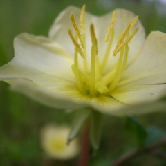 gr0511 027